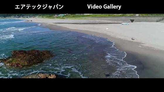 Video Gallery